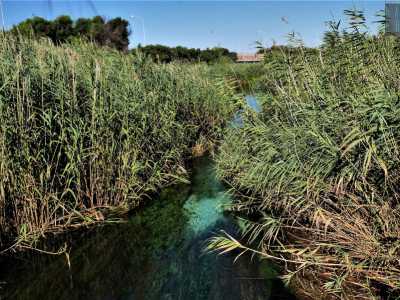Mentre ammiriamo il torrente chiediamo come raggiungere la sua sorgente...